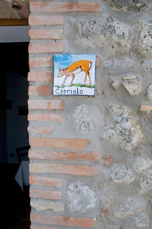 Agriturismo Fontesettimena Appartamento Rondine- Appartamento Capriolo Volterra Ngoại thất bức ảnh